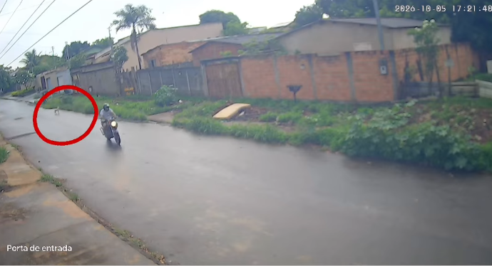 CADELA É ABANDONADA POR HOMEM EM MOTOCICLETA EM APARECIDA